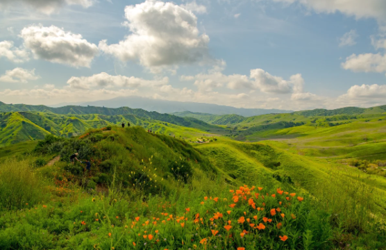 Chino Hills State Park