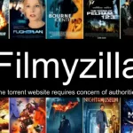 Filmyzilla Marathi: What You Need to Know Before Downloading Movies