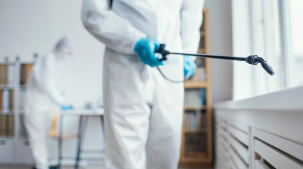 Pest Control Near Me